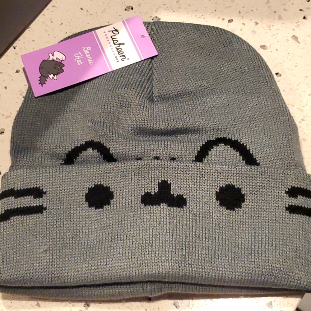 Pusheen box beanie fall